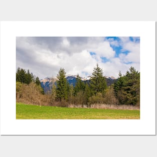 Landscape Near Ovaro, Italy Posters and Art